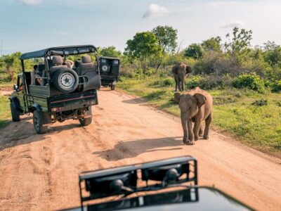 private safari tours Kenya
