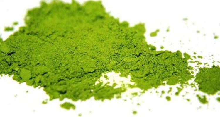 matcha