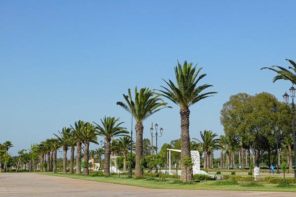 Rythmia Resort