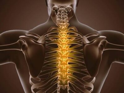 rebel chiropractic