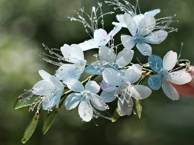 Flower Stud Earrings