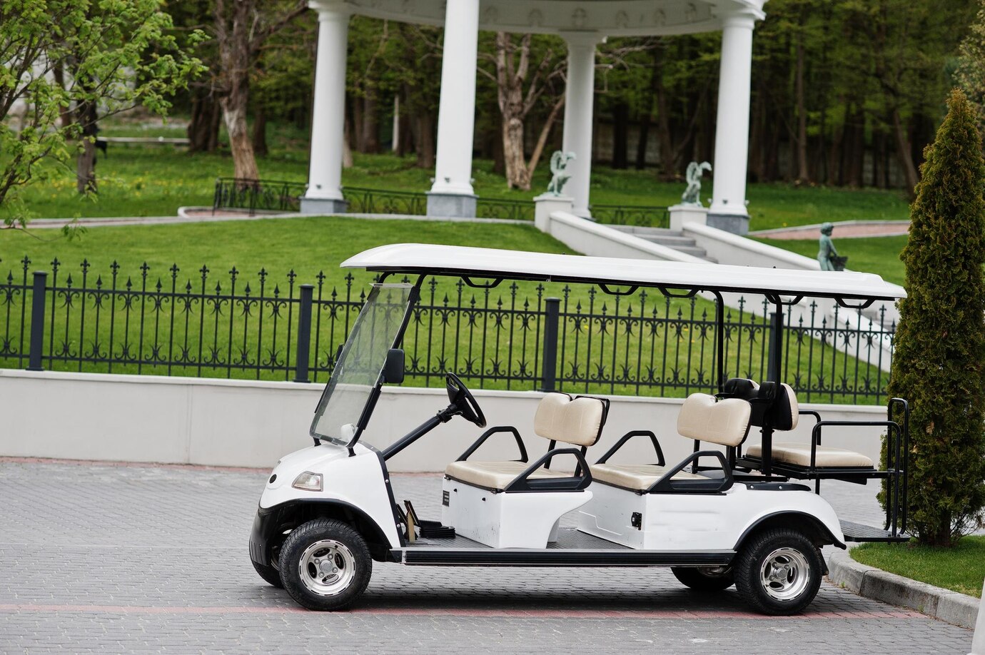 Evolution golf carts