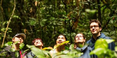gestión ambiental