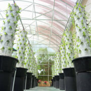 hydroponic tower garden,