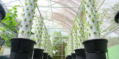 hydroponic tower garden,