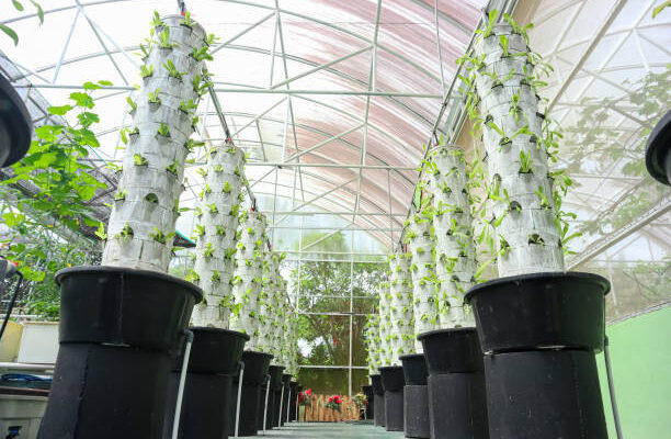 hydroponic tower garden,