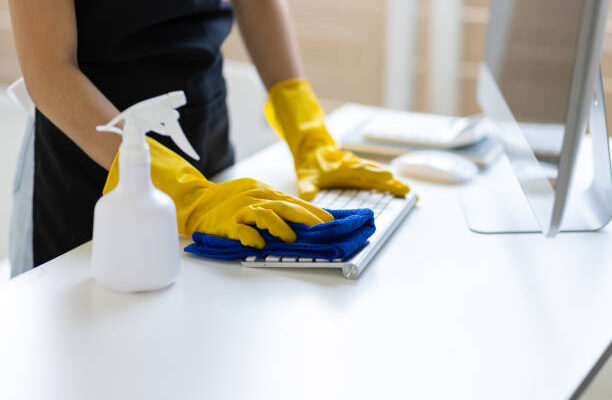 Professional soft washing services