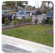 pvc fencing