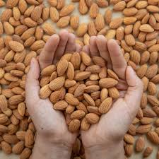 functional food ingredients
