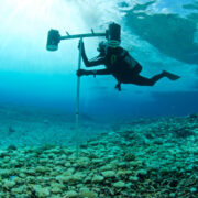 marine biologist surveys bleached coral