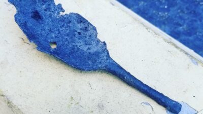 Black Dive Expedition controversy